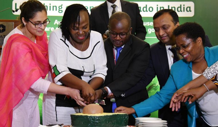Kenya avocado import launch
